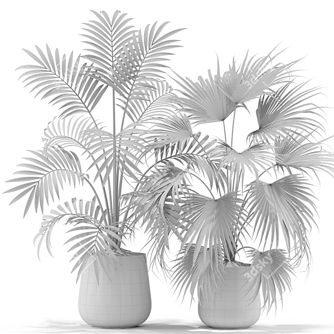 Green Oasis: Contempo Plants Collection 3D model image 4