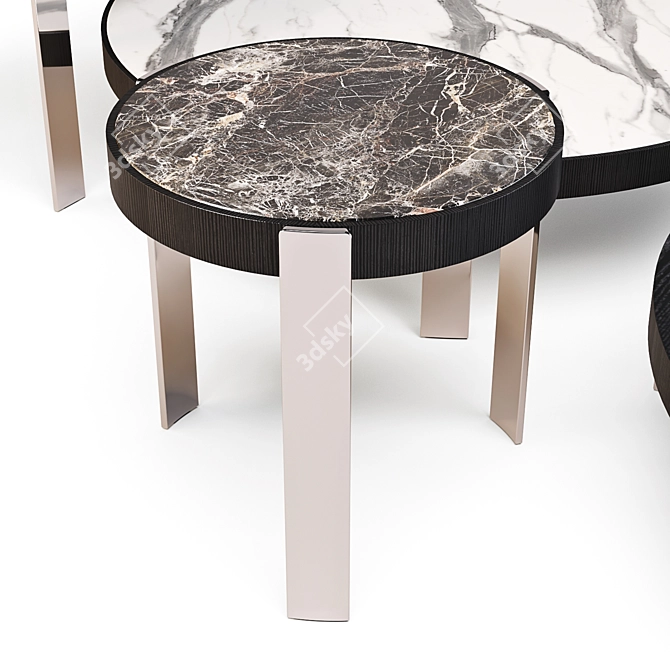 Minotti Mattia: Coffee Tables Set 03 - Elegant and Versatile 3D model image 3