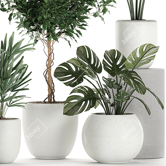 Title: Exotic Plant Collection in White Vase 3D model image 3