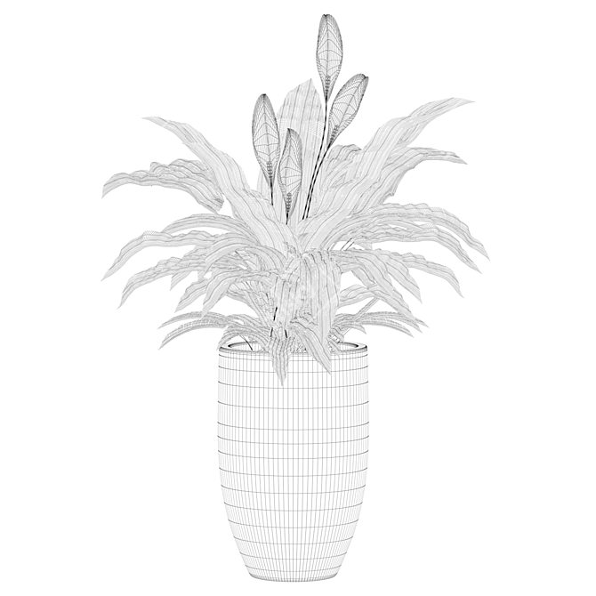 Exquisite Peace Lily Collection 3D model image 2