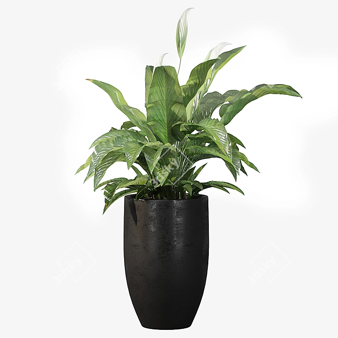 Exquisite Peace Lily Collection 3D model image 3
