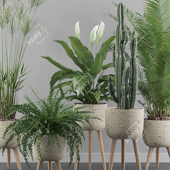 Green Oasis Collection: Peace Lily, Cyperus Nofretete, Fern Indoor, Areca Palm, Euphorbia Candelab 3D model image 4