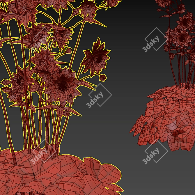 Hybrid Aquilegia Flowers | Set of 4 Varieties 3D model image 4