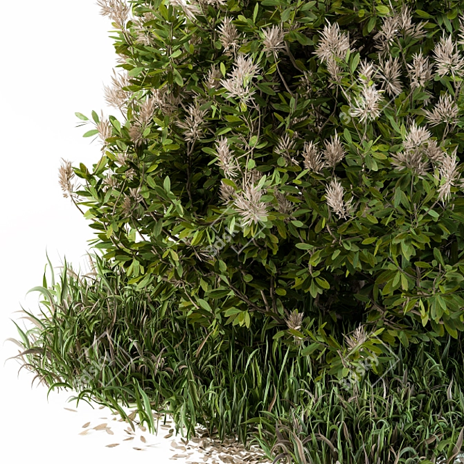 Wild Grass Outdoor Plant - Baccharis Pilularis 47 3D model image 2