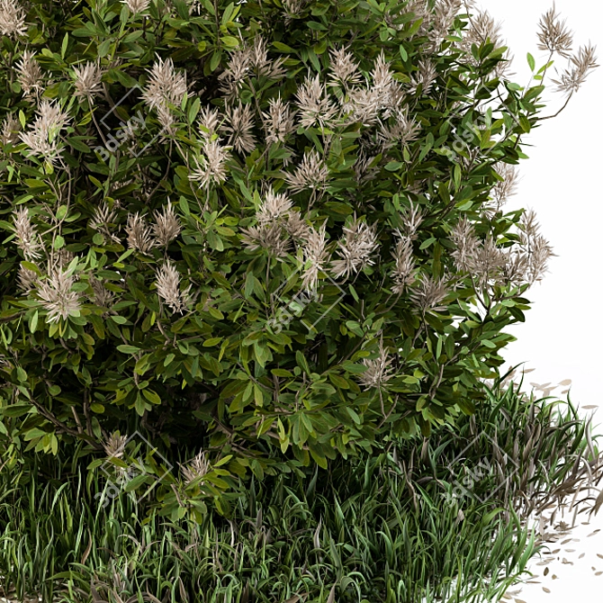 Wild Grass Outdoor Plant - Baccharis Pilularis 47 3D model image 3
