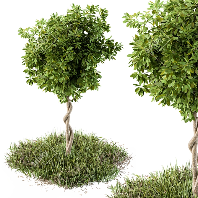 48" Outdoor Broadleaf Tree with Wild Grass 3D model image 1