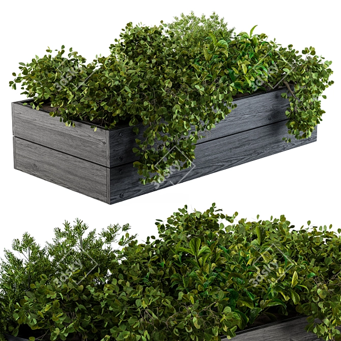 Outdoor 55: Compact Garden Plants 3D model image 2