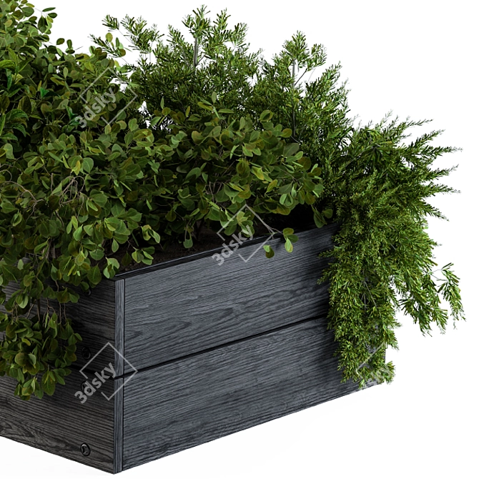 Outdoor 55: Compact Garden Plants 3D model image 4