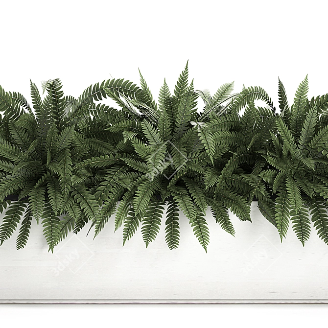 Exotic Tropical Indoor Plant Collection in White Pots 3D model image 2