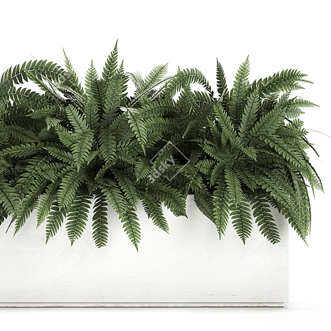 Exotic Tropical Indoor Plant Collection in White Pots 3D model image 3