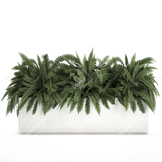 Exotic Tropical Indoor Plant Collection in White Pots 3D model image 4