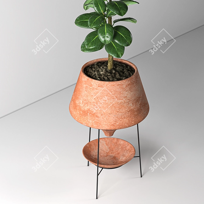 Elegant Indoor Decorative Plant 3D model image 3