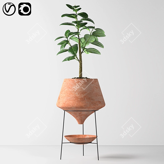 Elegant Indoor Decorative Plant 3D model image 5