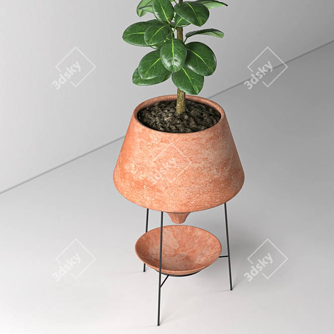 Elegant Indoor Decorative Plant 3D model image 6