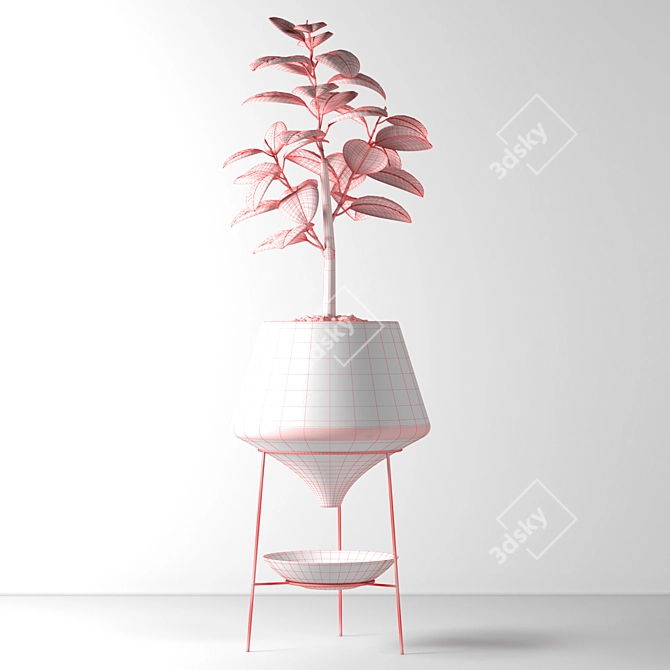 Elegant Indoor Decorative Plant 3D model image 7