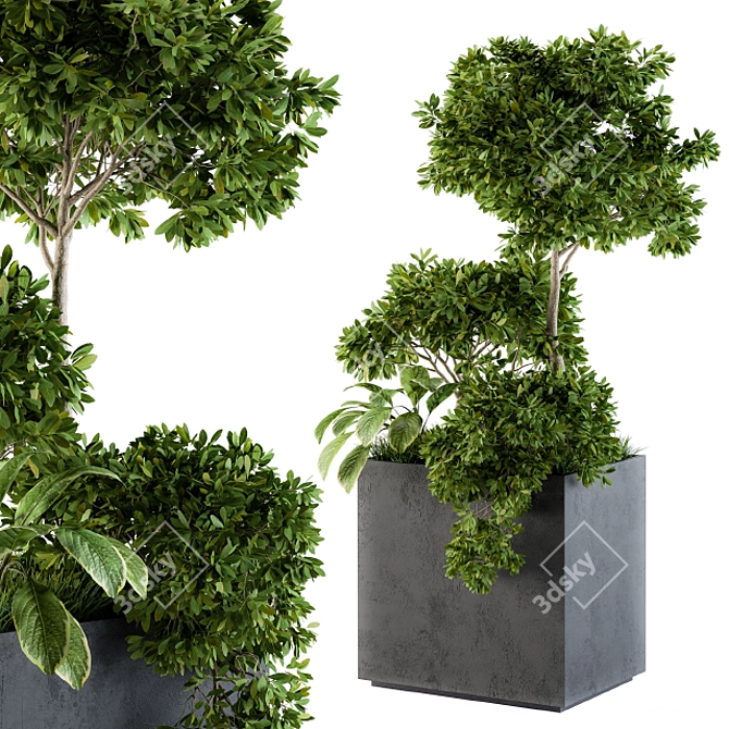  Concrete Box Set 58 - Outdoor Plant Décor 3D model image 1