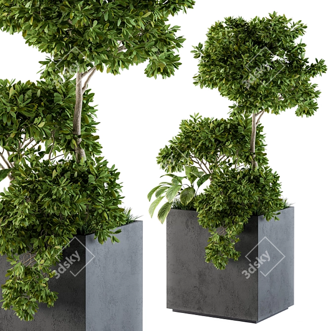  Concrete Box Set 58 - Outdoor Plant Décor 3D model image 3