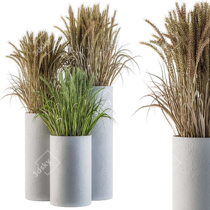 Concrete Round Pot with Wheat & Wild Grass 3D model image 1