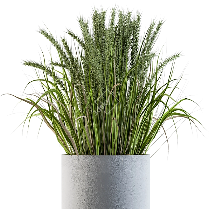 Concrete Round Pot with Wheat & Wild Grass 3D model image 4