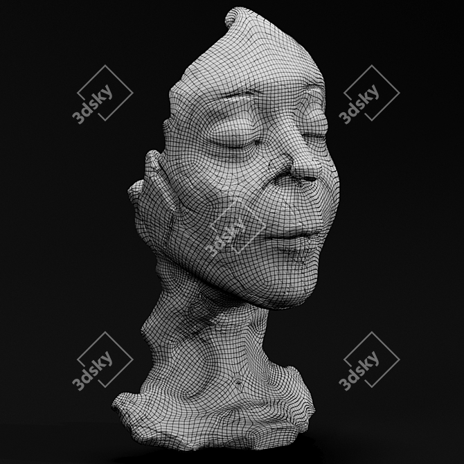 Sculpted Face Artistry 3D model image 2