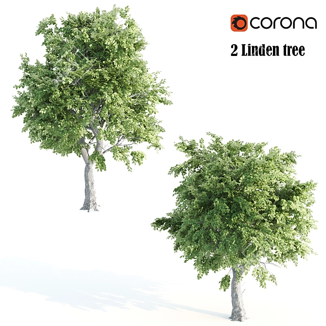 Duo Linden Trees: Tranquil Scene 3D model image 1