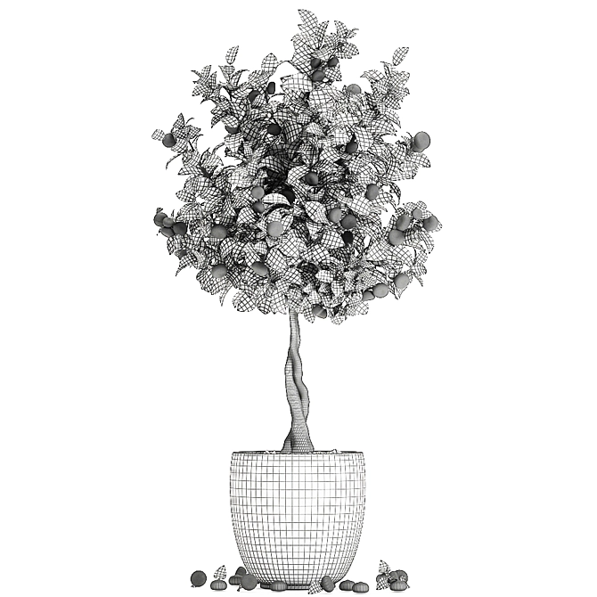 Exotic Mandarin Tree in White Pot 3D model image 5