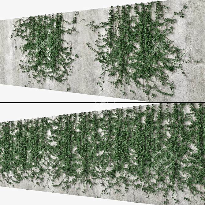 Ivy Reflections: Versatile Wall Decor 3D model image 1