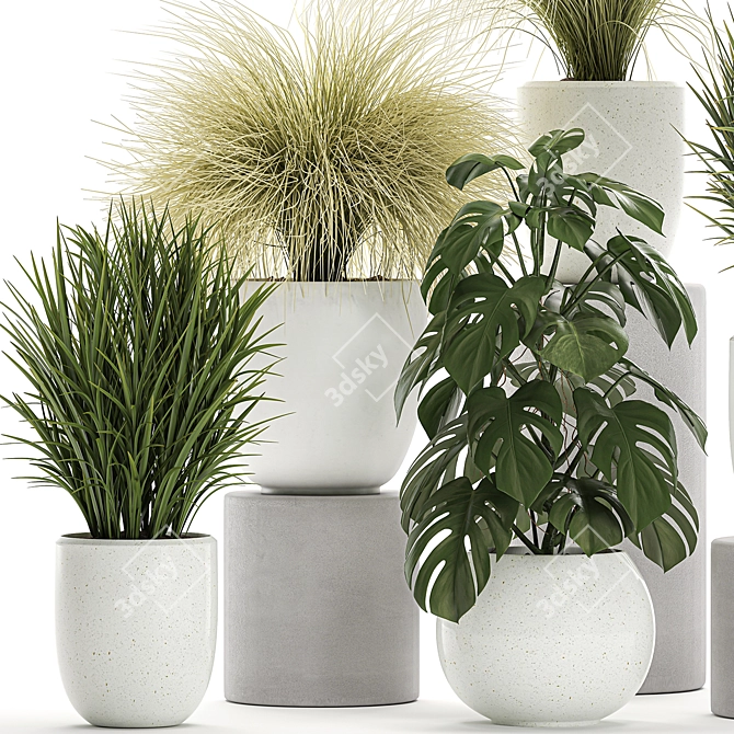 Exotic Greenery Collection in White Vase 3D model image 3