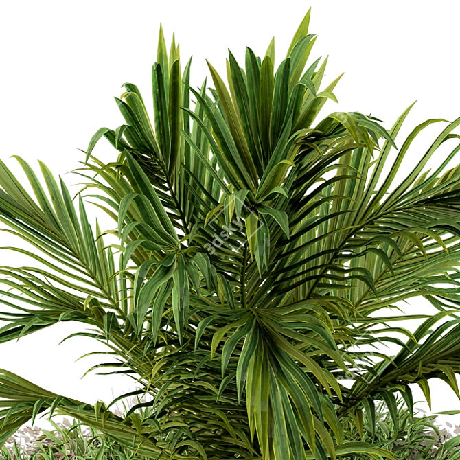 Tropical Serenity: Banana Palm and Wild Grass Outdoor Décor 3D model image 3