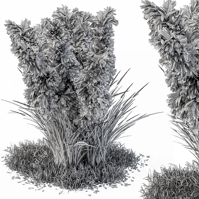 Outdoor Pampas Bush - Wild Grass (52cm) 3D model image 4