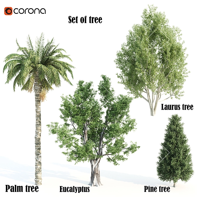 Diverse 4 Tree Set: Eucalyptus, Laurus, Palm, Pine 3D model image 1