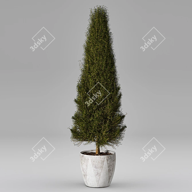 Elegant Greenery Collection 3D model image 1