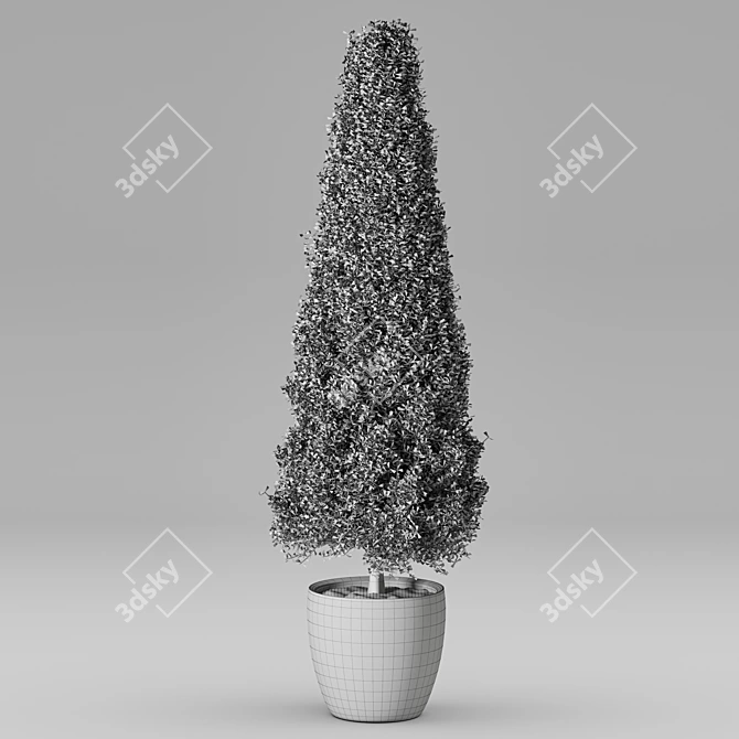 Elegant Greenery Collection 3D model image 2