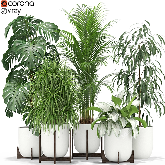 354 Plant Collection: Beautiful and Lifelike 3D model image 1