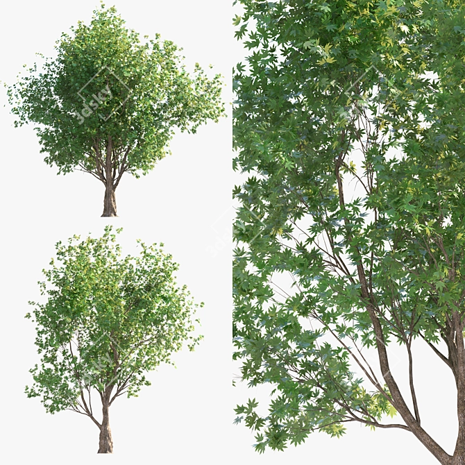 Dual Landscape Tree Set: Render-Ready 3D model image 4