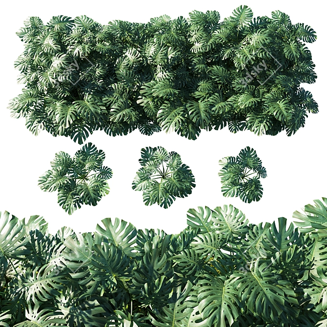 Lush Living: Monstera Vertical Garden 3D model image 1