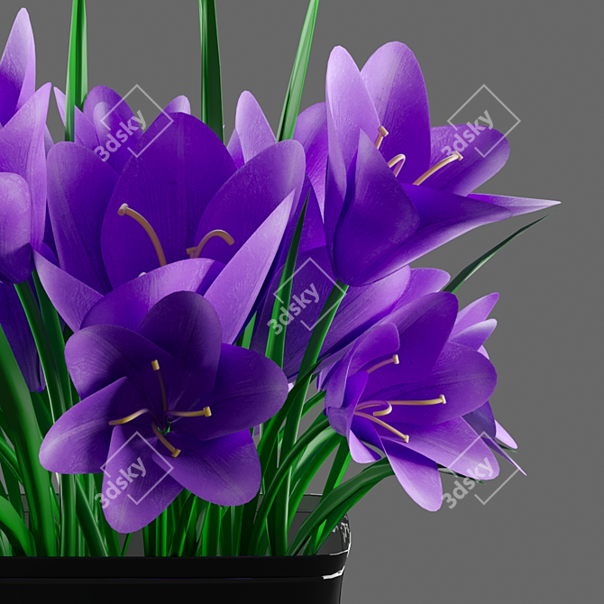 Spring Splendor: Crocus Bouquet in Vase 3D model image 1