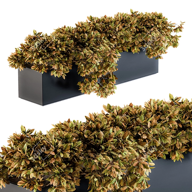 Sleek Croton Plant Planter 3D model image 1