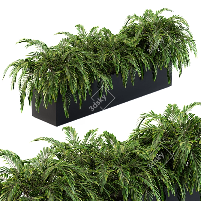 Tropical Oasis: Palm Plants in a Box 3D model image 1