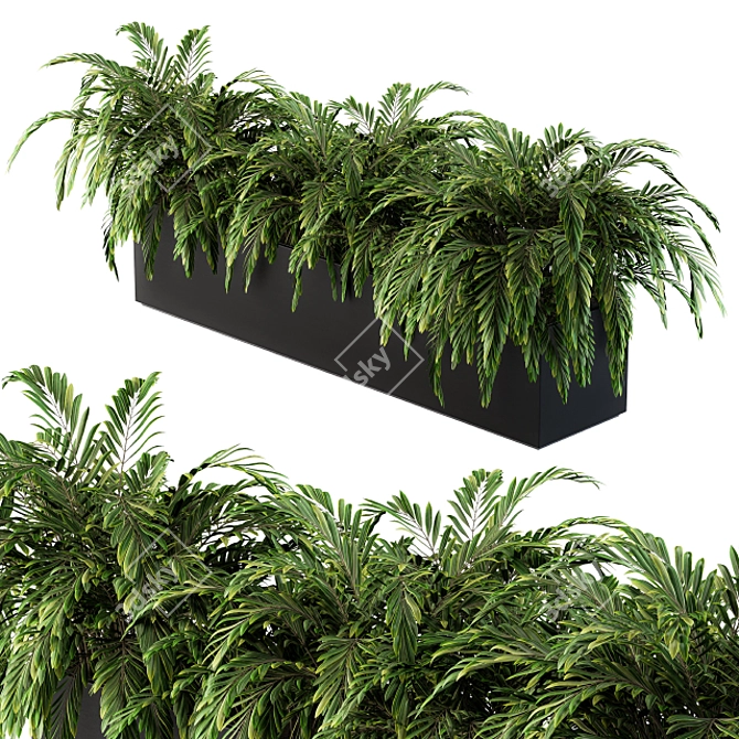 Tropical Oasis: Palm Plants in a Box 3D model image 2