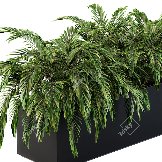 Tropical Oasis: Palm Plants in a Box 3D model image 3