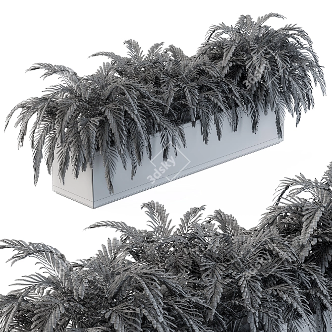 Tropical Oasis: Palm Plants in a Box 3D model image 5