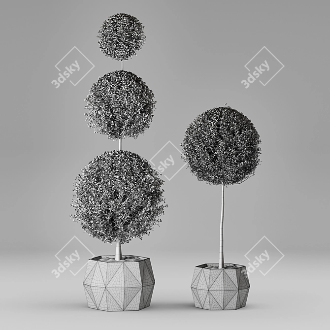 Exquisite Collection of Plants 3D model image 2