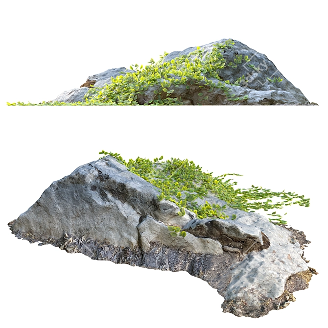 Naturally Sculpted Rock & Ivy 3D model image 2