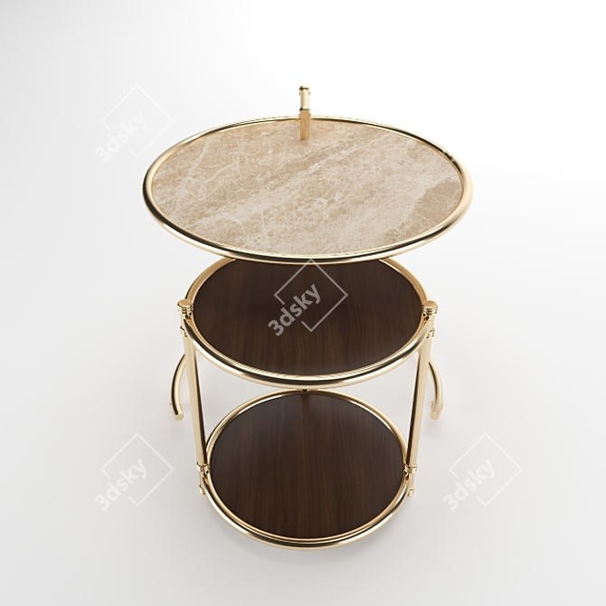 Elegant Rosewood Side Table 3D model image 3