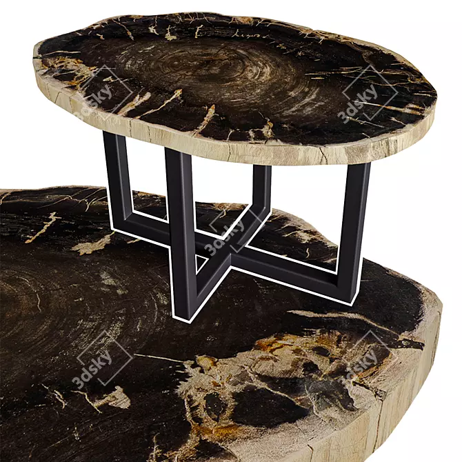 Fossil Wood 49 Coffee Table: Rustic Elegance for Your Space 3D model image 1
