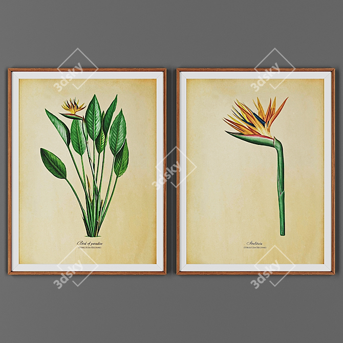 Wooden Frame Picture Set 3D model image 1