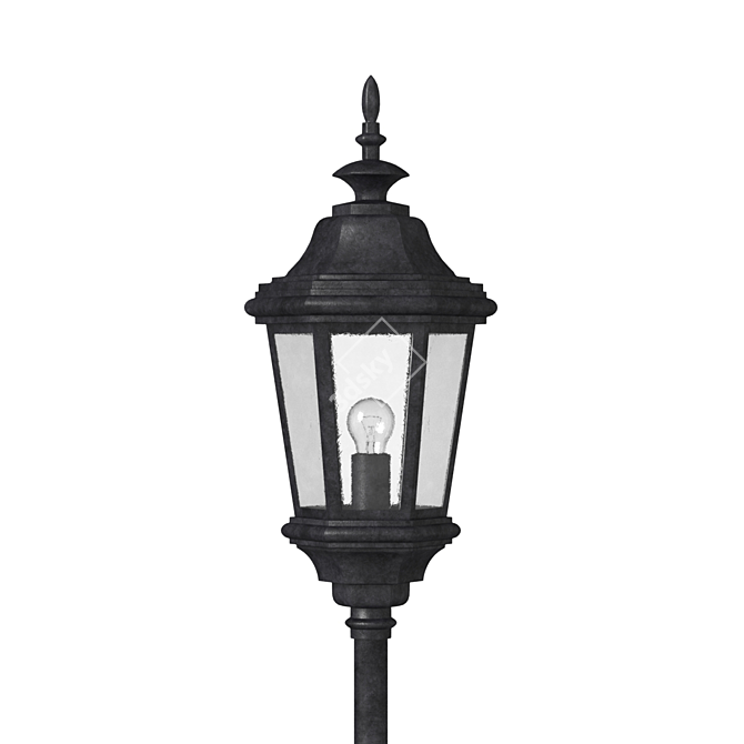 Elegant Wrought Iron Street Lamp 3D model image 2