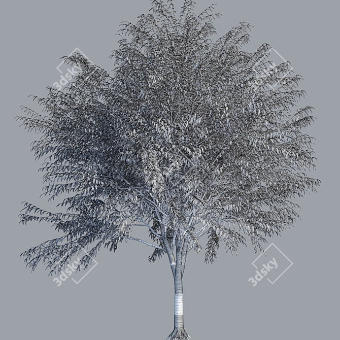 Vertexcolor Material: High Poly, Detailed 3D model image 5