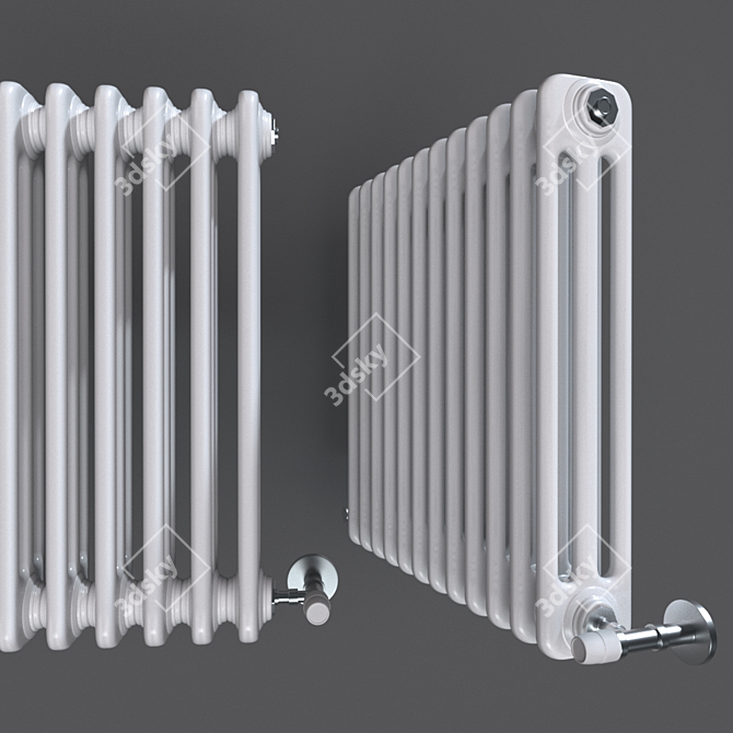 Elegant Cordivari Ardesia Radiator 3D model image 1